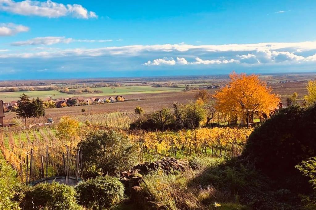 Gite Origin Gueberschwihr Dış mekan fotoğraf