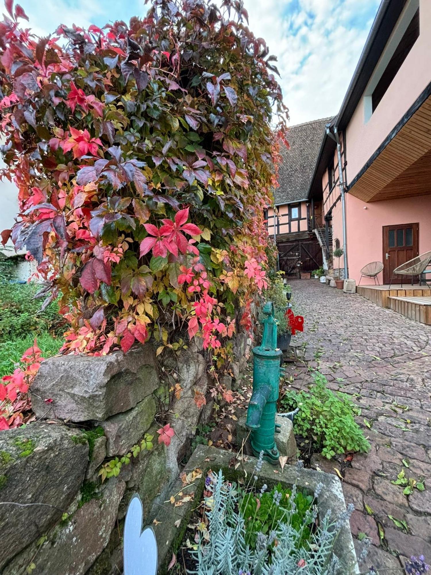 Gite Origin Gueberschwihr Dış mekan fotoğraf